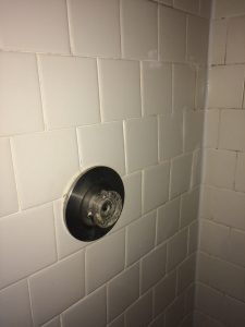 IMG_9667